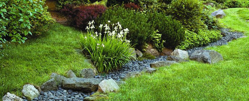 Create Swales to Direct Water Flow