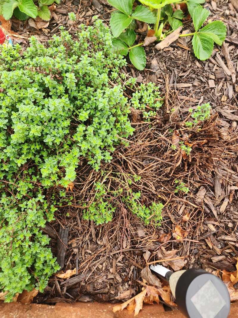 Soil Composition Confusion