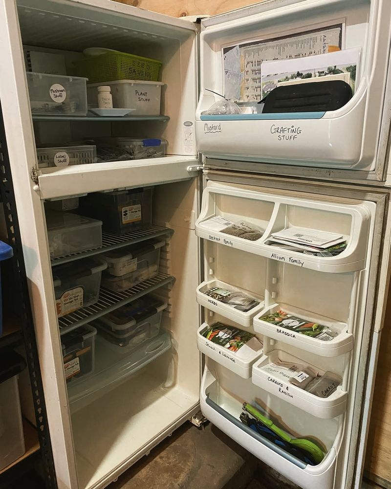 Store In The Right Environment