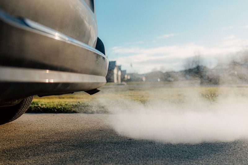 Gasoline or Exhaust Damages Root Systems
