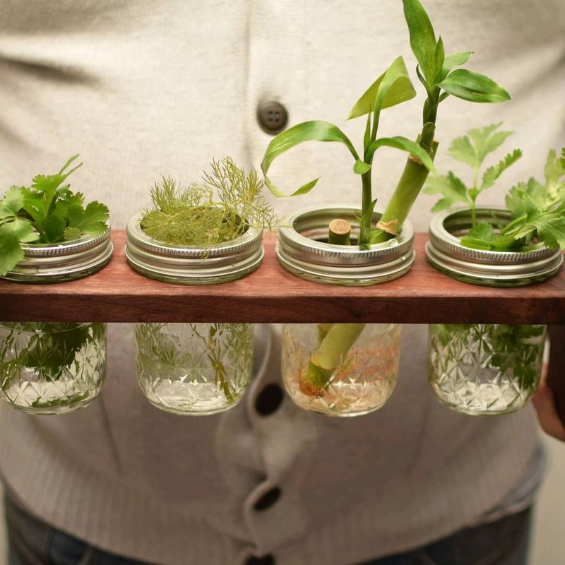 Mason Jar Herb Garden