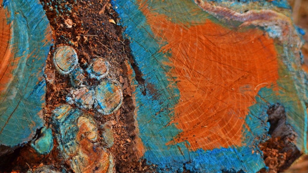 painted tree stump