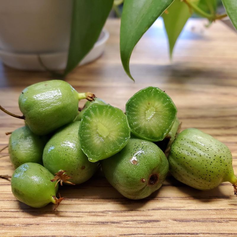 Kiwi Berries