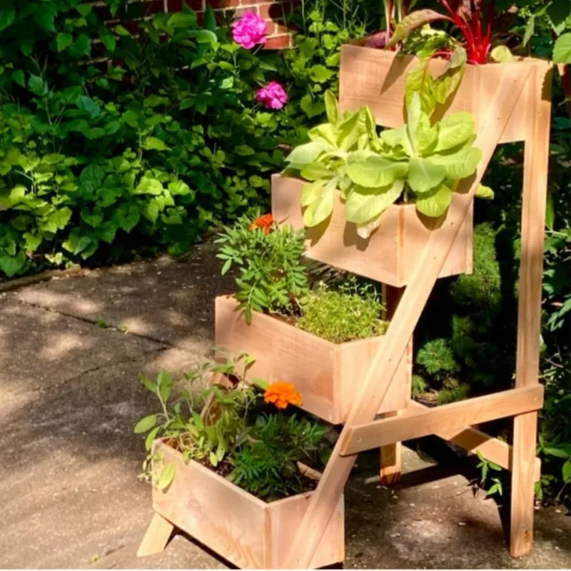 Repurposed Ladder Plant Display