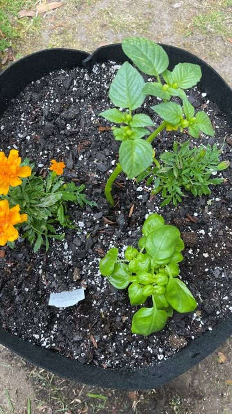 Soil Warming Happens Faster In Spring