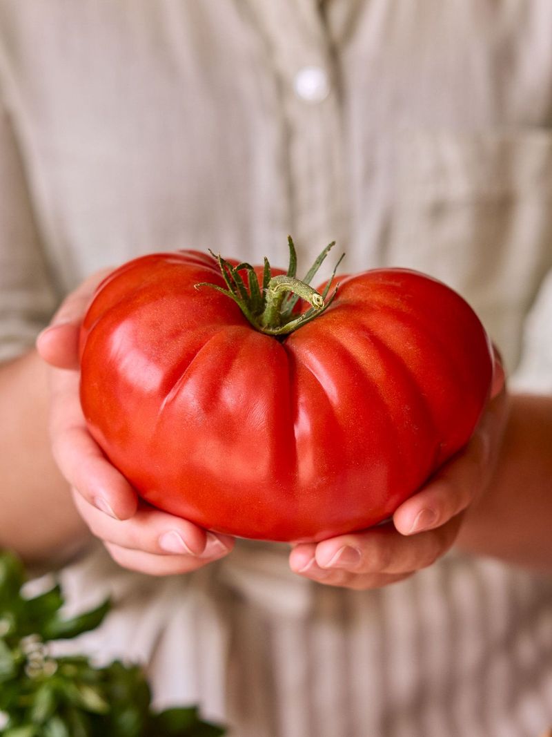 Encourages Larger Fruit Size