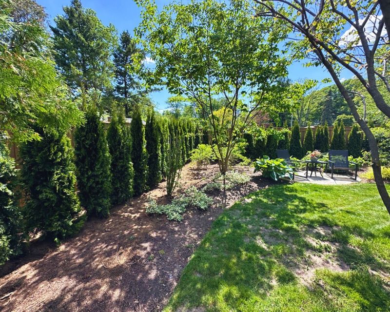 Privacy Landscaping