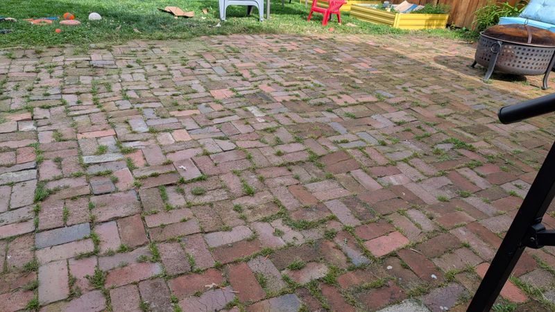 Brick and Grass Checkerboard