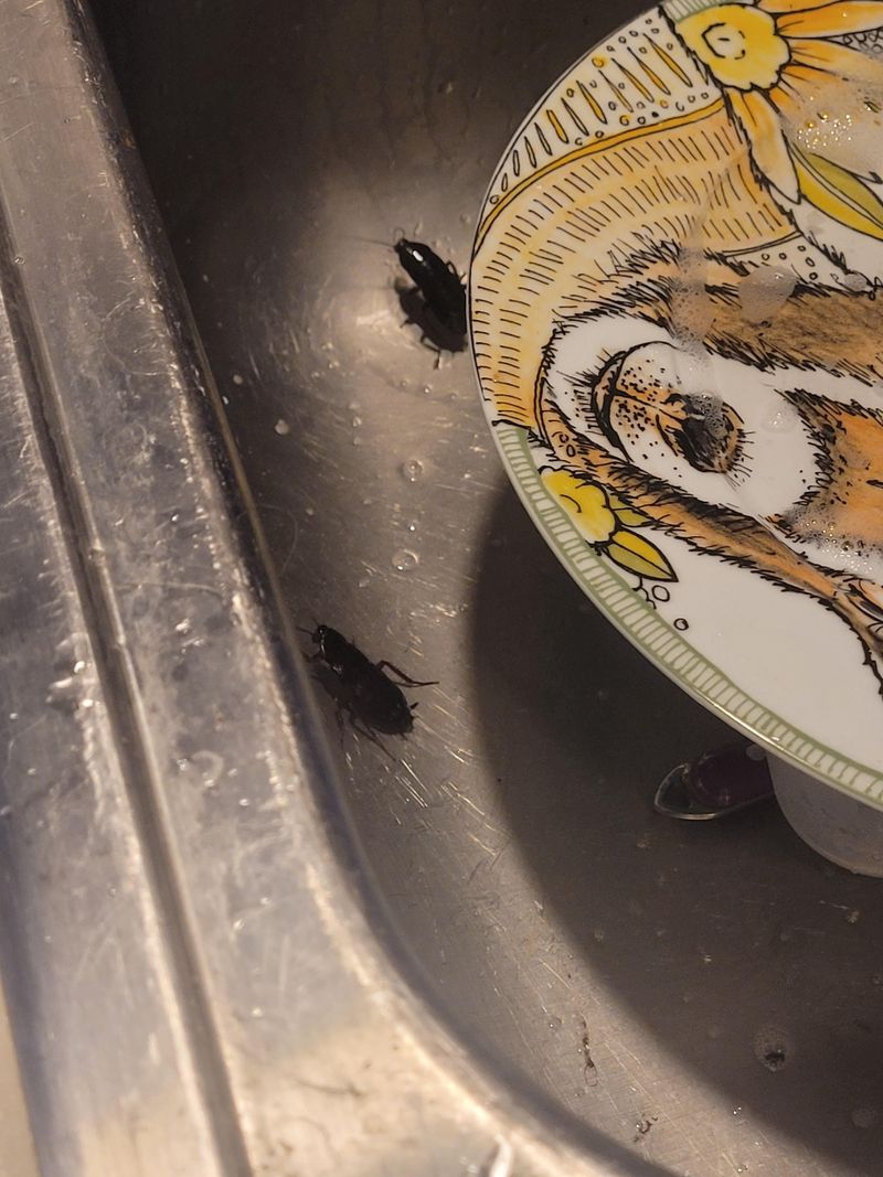 Dirty Dishes