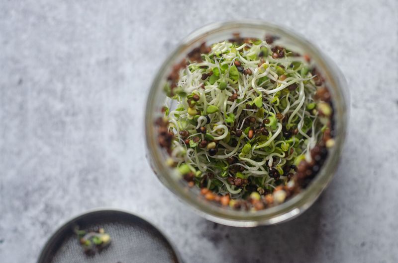 Crunchy Alfalfa Sprouts