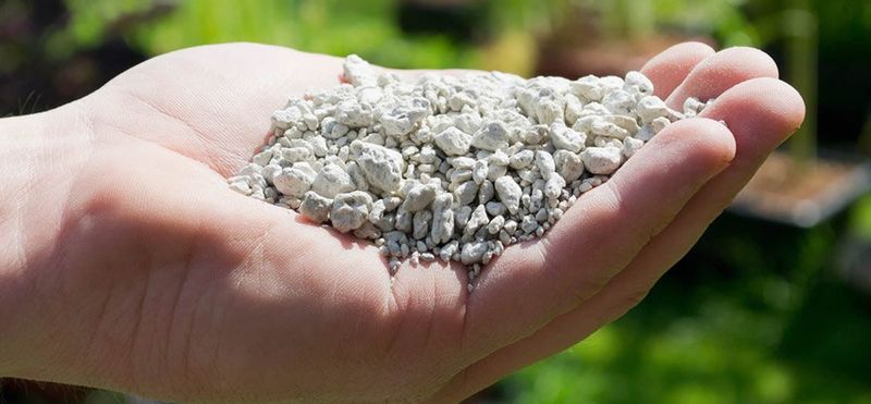 Horticultural Pumice
