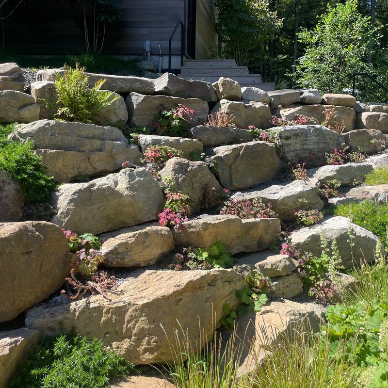 Succulent Rock Wall Garden
