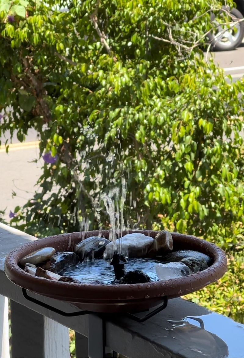 Fresh Water Source