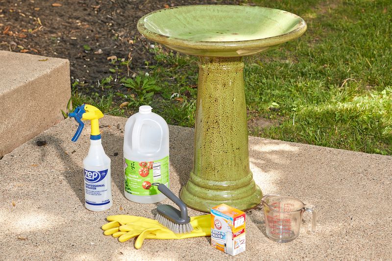 Neglecting Regular Cleaning