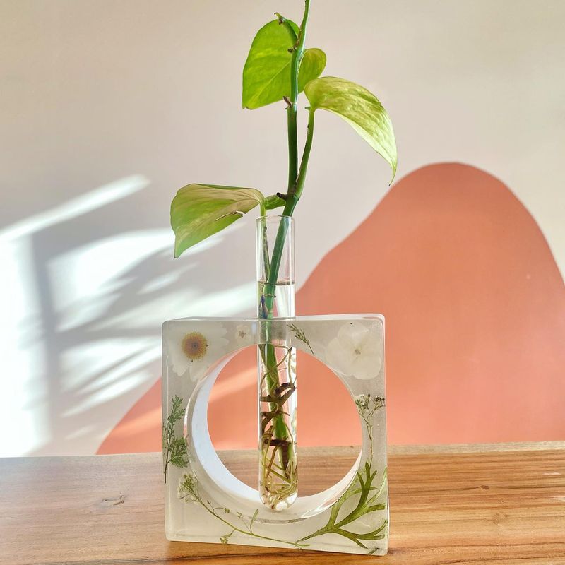 Propagation Station