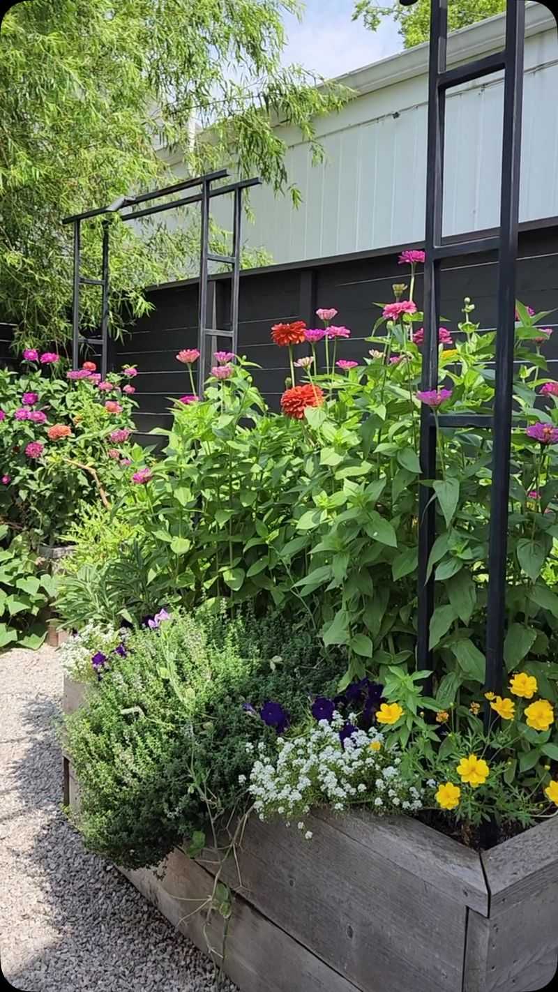 Create Shade For Delicate Flowers