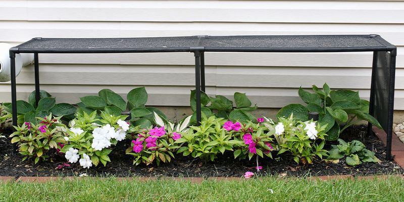 Provide Afternoon Shade In Extreme Heat