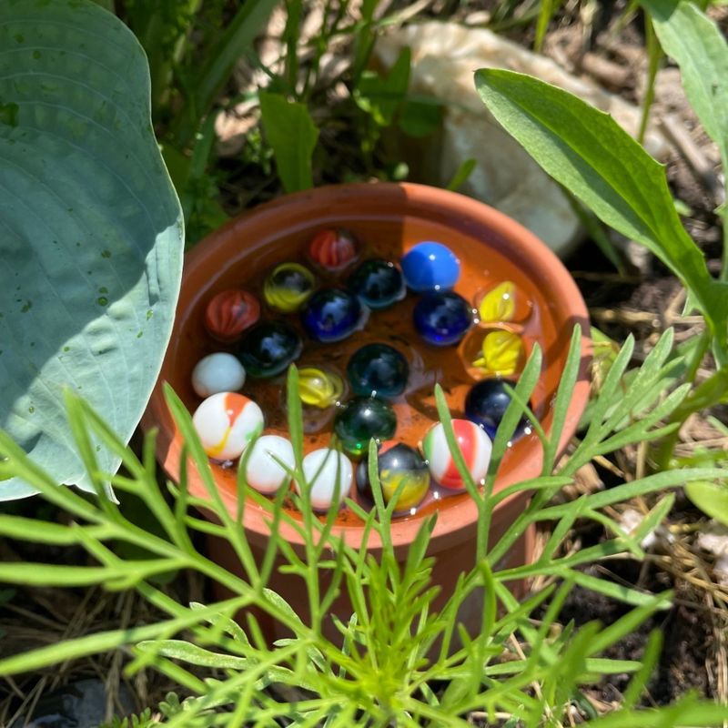 Create a Bee Bath