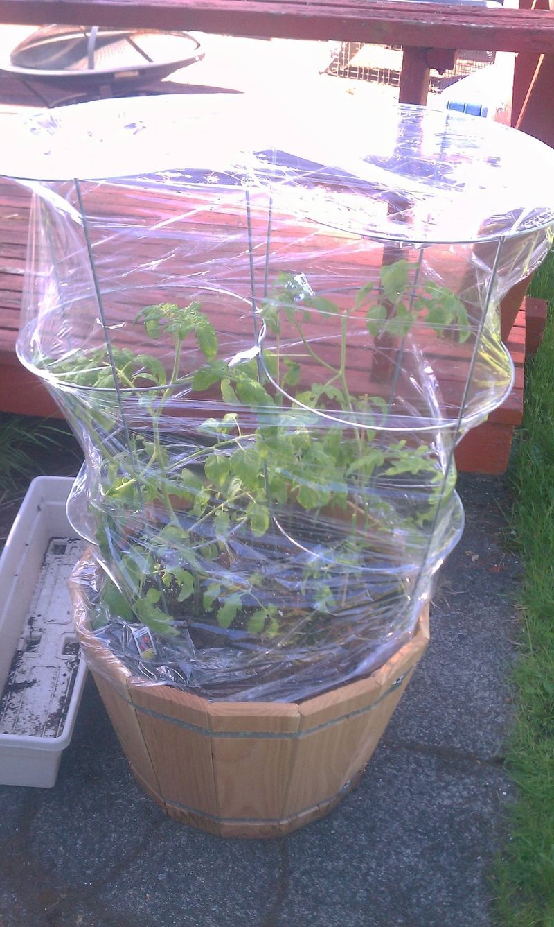 Seedling Tray Warmth Boosters