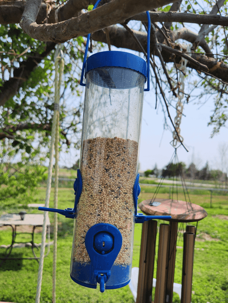 Offer Nyjer Feeders
