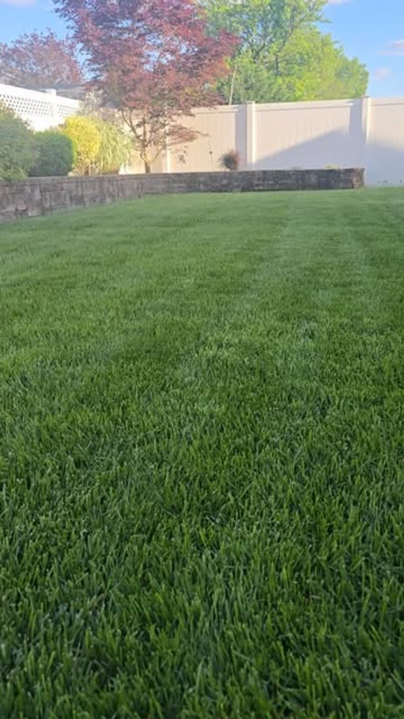 Mowing Grass Too Short
