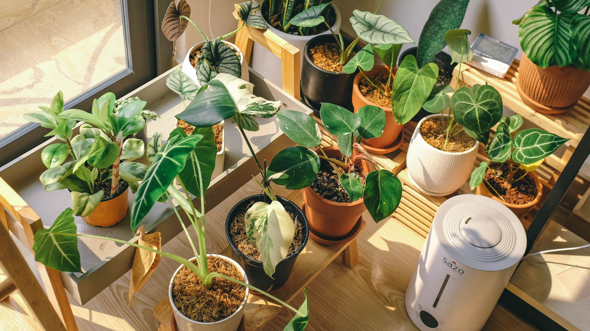 The 29 Plants That Simply Won’t Thrive When Grown In A Terracotta Pot
