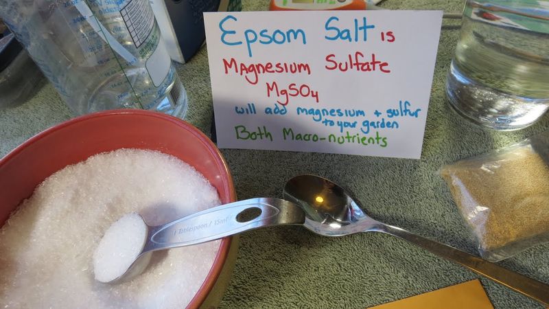 Epsom Salt Solution For Magnesium Boost