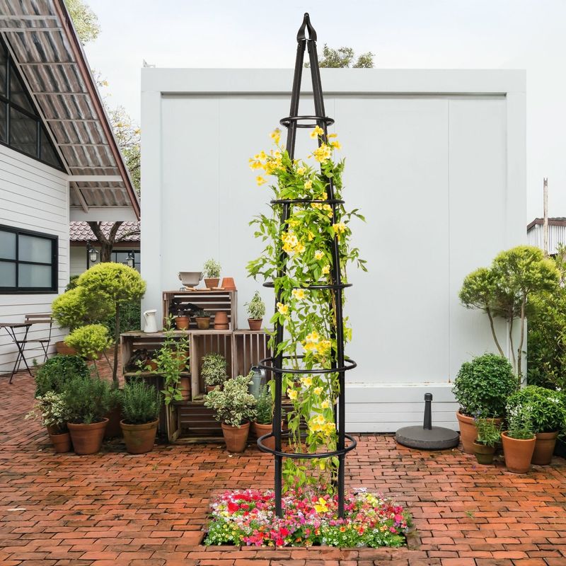 Narrow Side Yard Solution With Vertical Vines