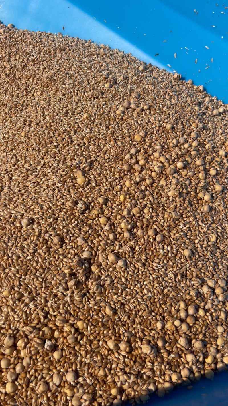Nutrient Absorption Problems