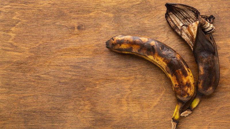 Slow-Release Nutrition Benefits