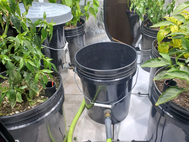 Bucket Drip Irrigation System