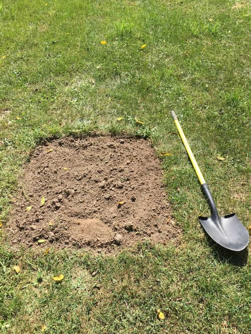 Implement Regular Soil Cultivation