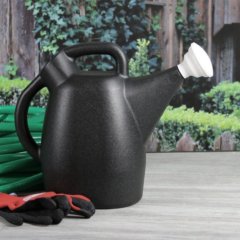 Ornamental Watering Cans vs. Plastic Jugs