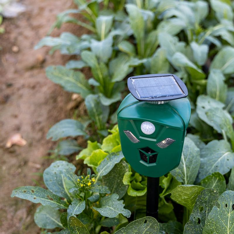 Ultrasonic Repellers: Silent To Humans, Irritating To Foxes