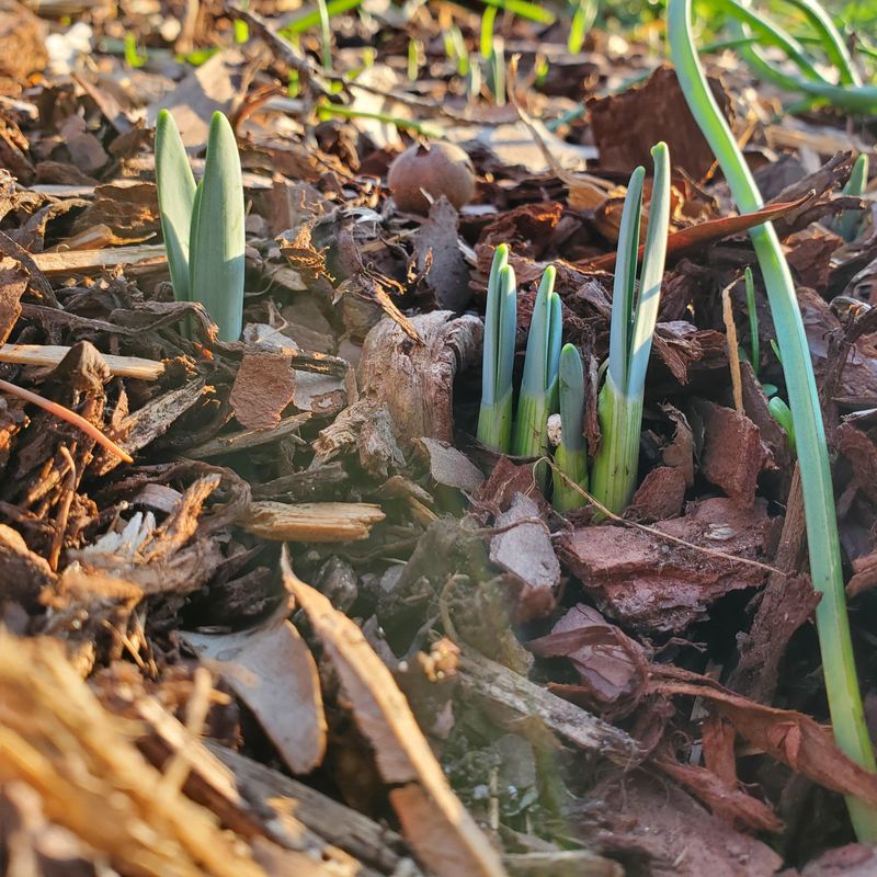 Time Your Planting Right