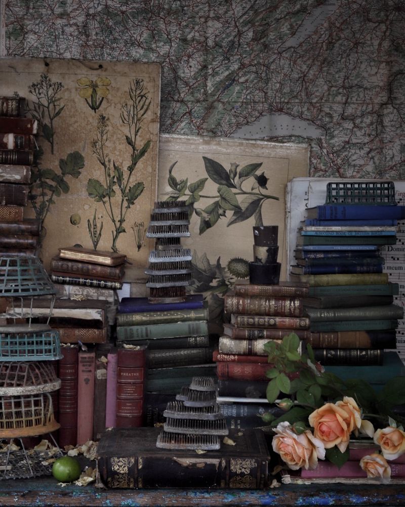 Vintage Book Collections