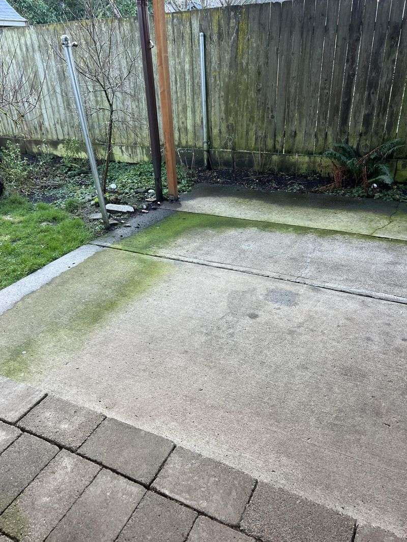 Vinegar Solution Spray