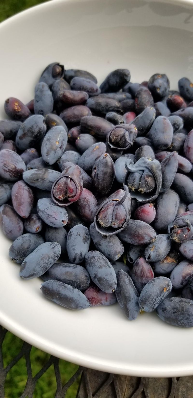 Harvest at Peak Ripeness