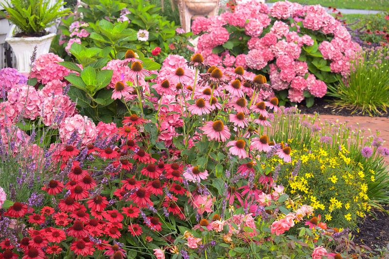 Add Companion Plants For Pollinators
