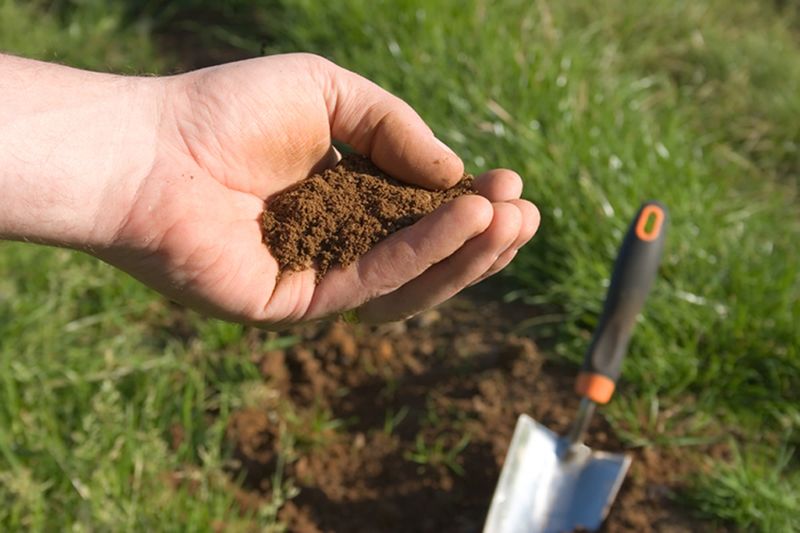 Test the Soil First