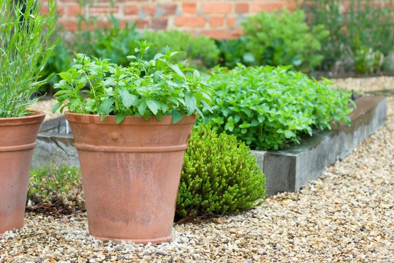 Improves Drainage Dramatically