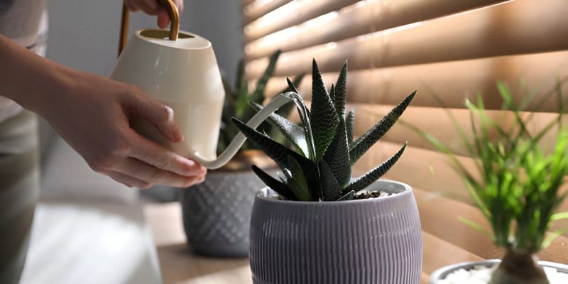 Watering Method Refinement