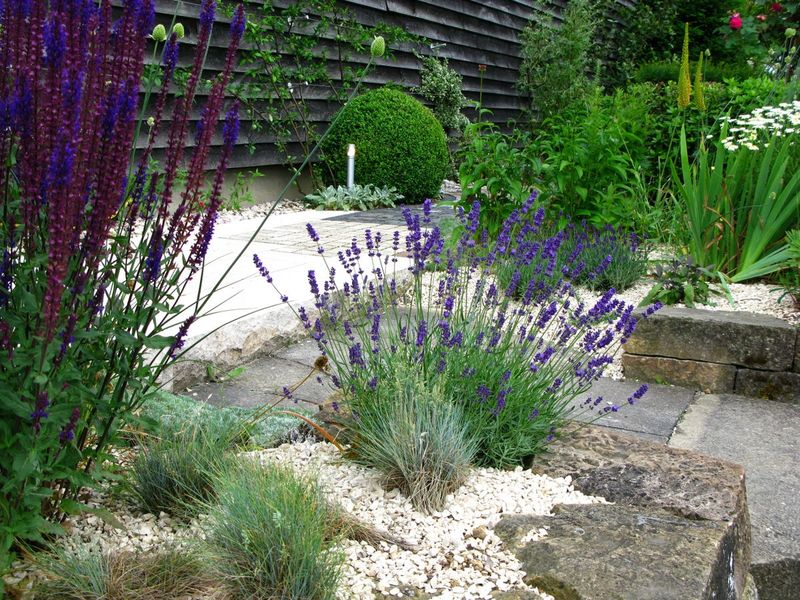 Control Weeds Diligently
