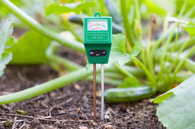 Adjust Soil pH Levels