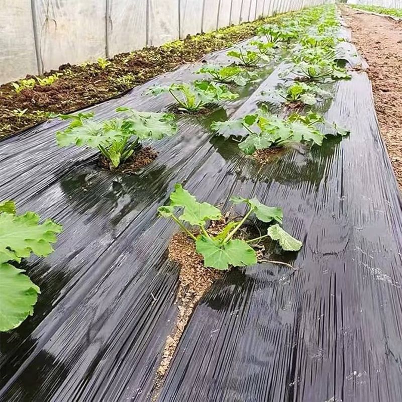 Warm The Soil Quickly