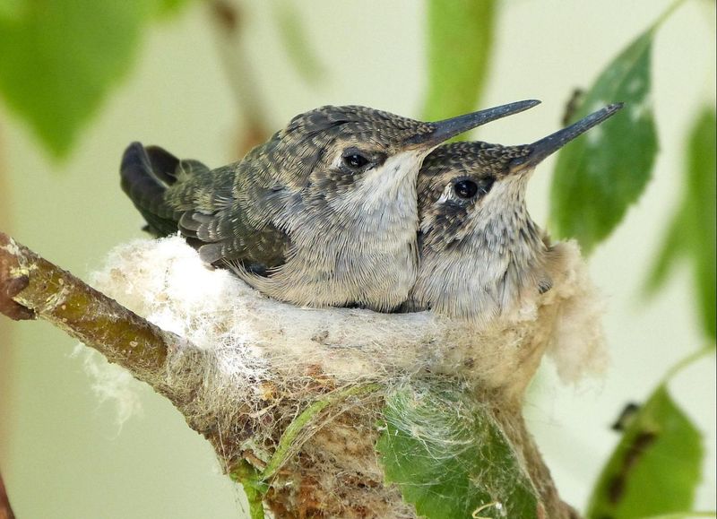 Create Nesting Material Stations