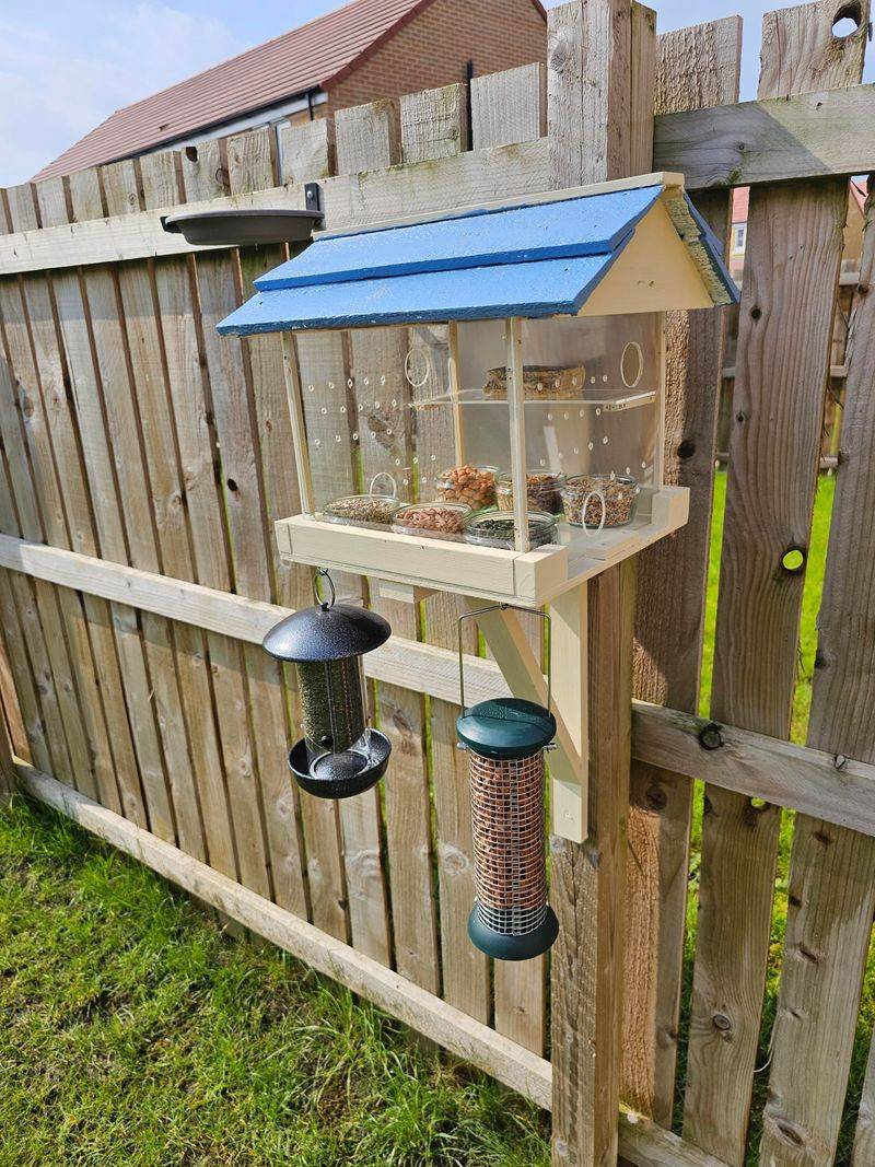 Keep Feeders Clean