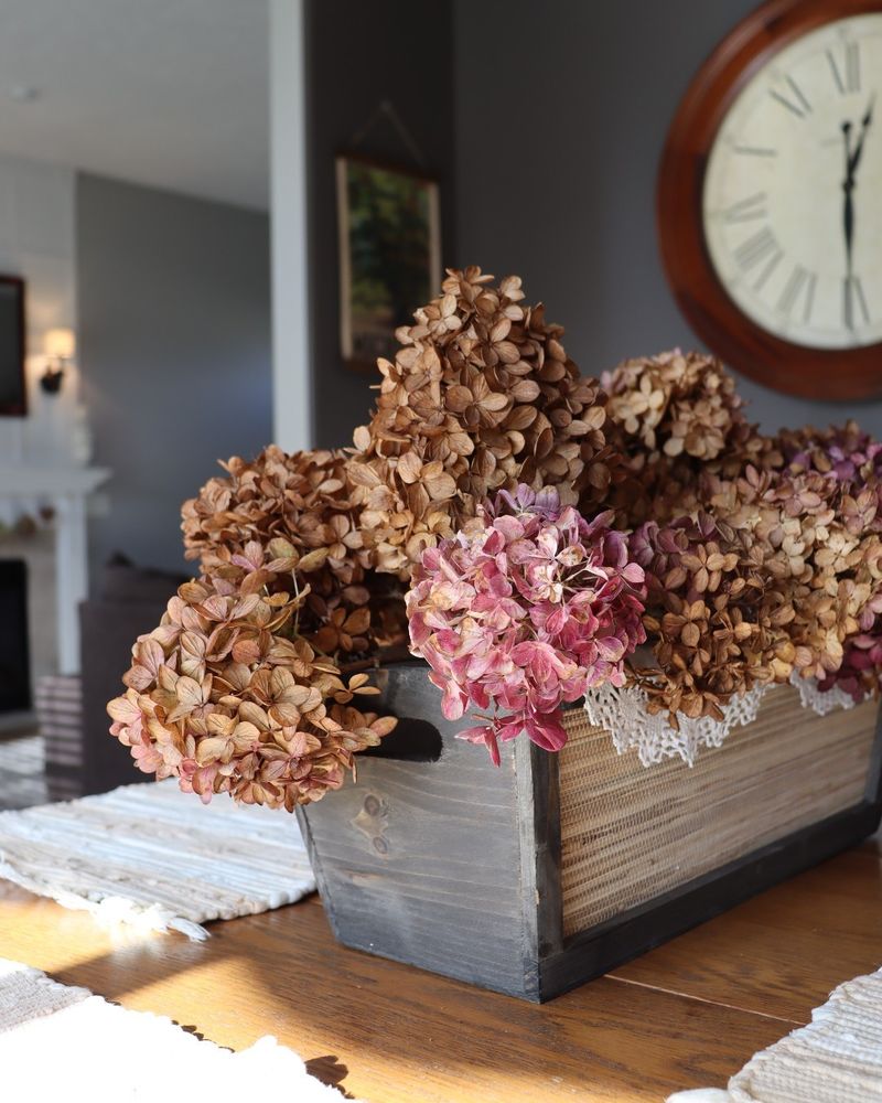 Harvest Blooms For Indoor Enjoyment