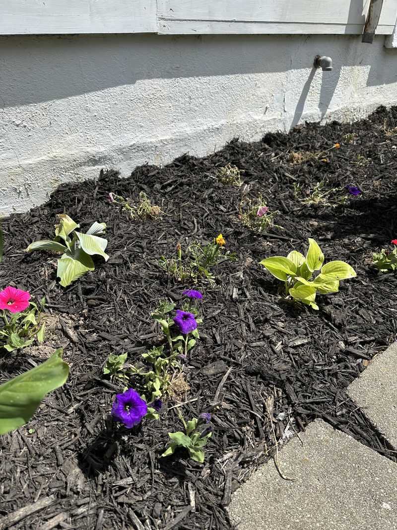 Mulch Properly