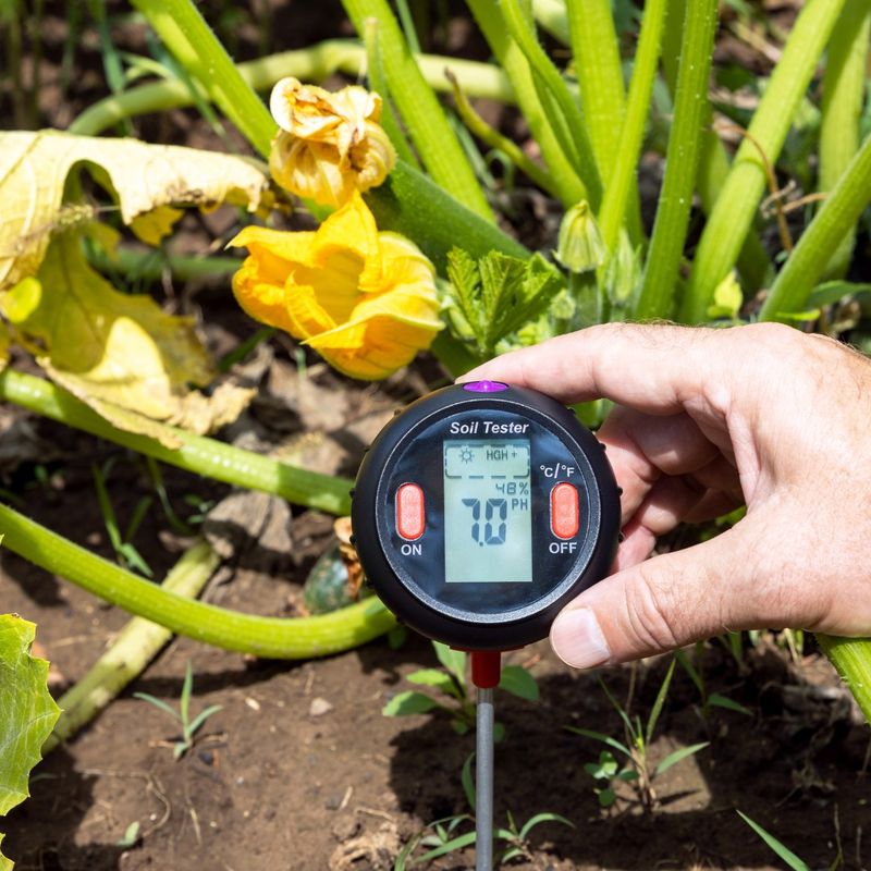 Improves Soil Acidity Balance